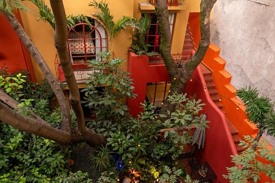 The Red Tree House