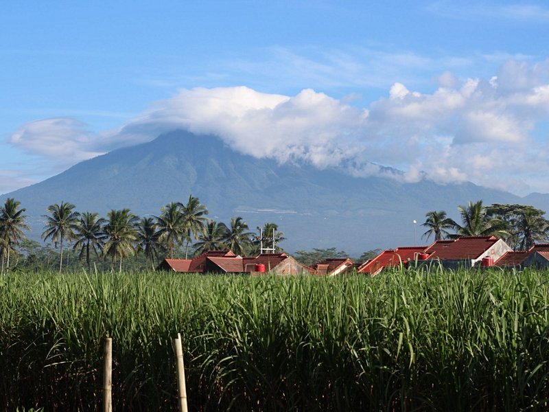 Le temple de Gunung Kawi 