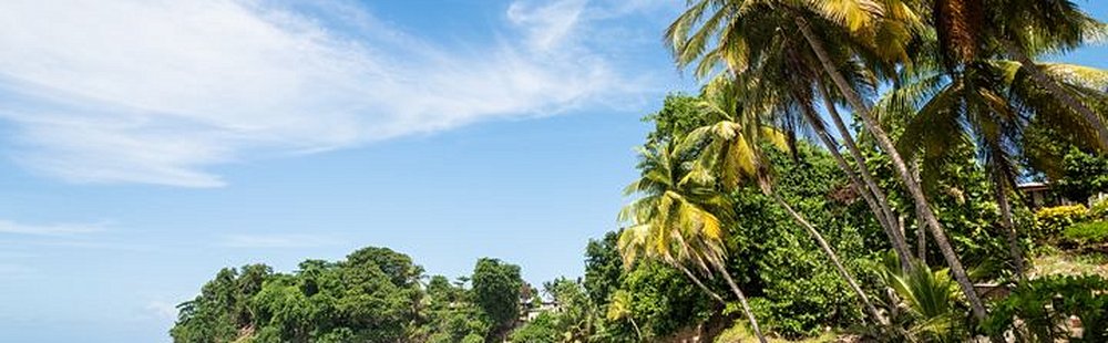 Plage du Roseau, Sainte-Marie