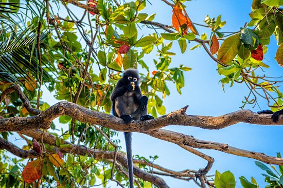 Le parc national d'Ang Thong
