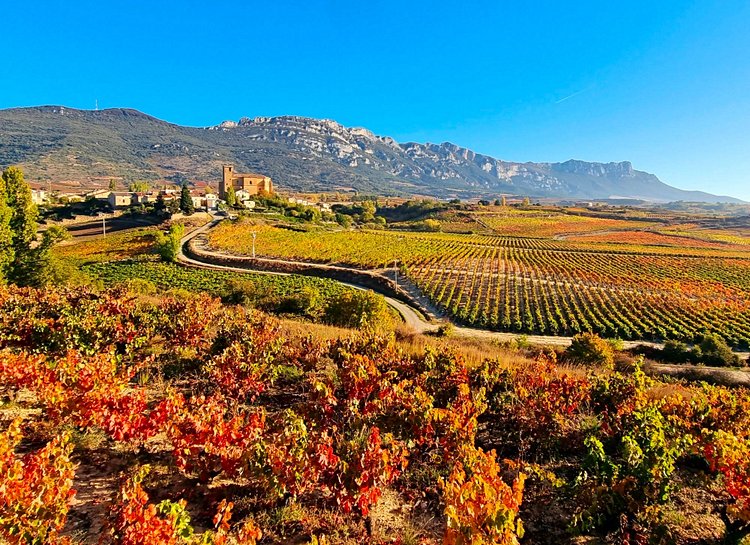Route des vins Rioja - Espagne 2