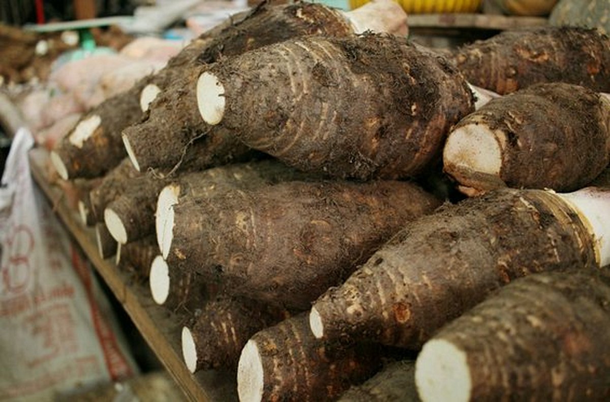 Faire une balade gastronomique dans la région de Bassar