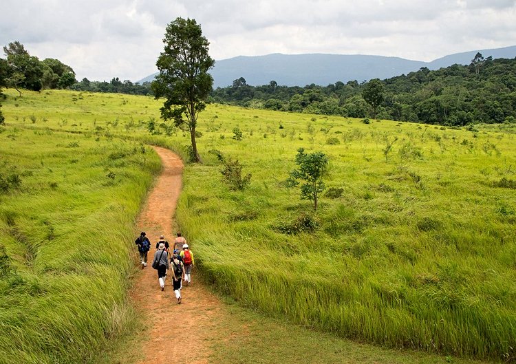 Rejoindre le parc national de Khao Yai