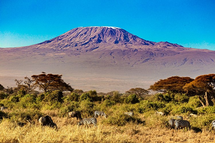 Kilimandjaro - Tanzanie