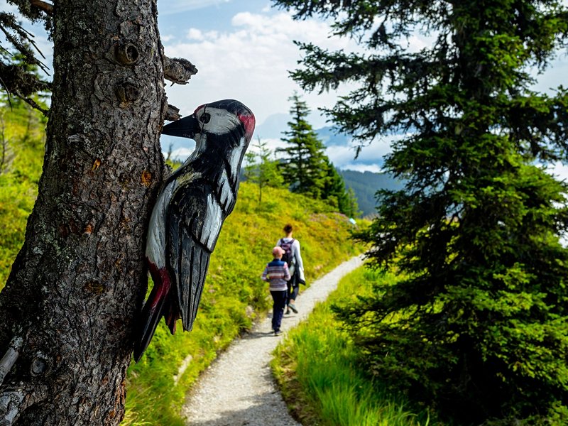 Le Parc National des Hohe Tauern
