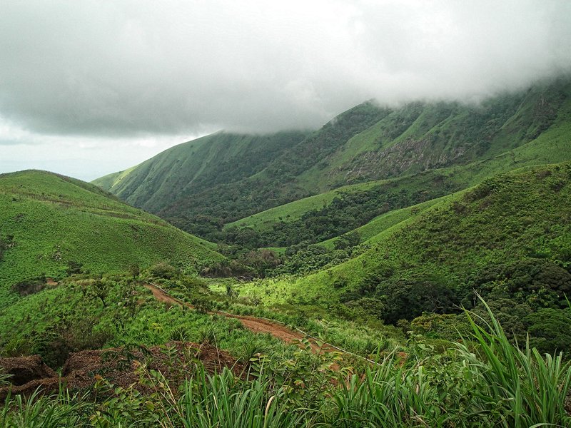 La réserve naturelle du mont Nimba