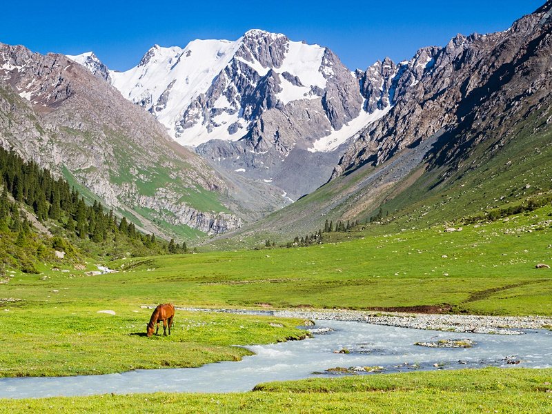 Le Tian Shan