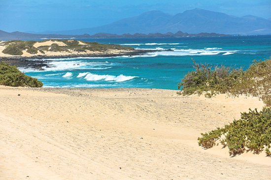 Les plages du parc des dunes de Corralejo