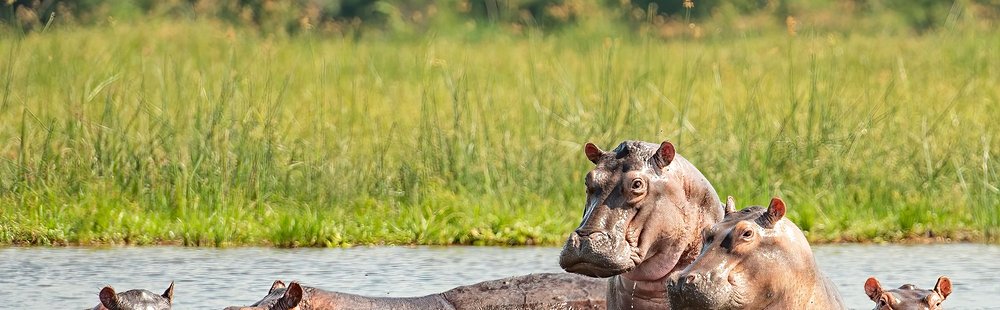 Parc national Murchison Falls