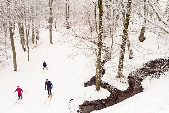 Faire du ski à Otepää