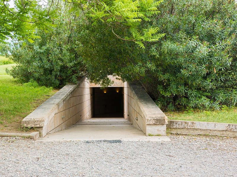 Vergina