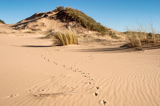 Réserve naturelle de Witsand