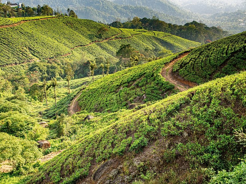 Munnar