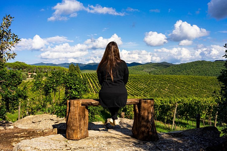 Route du vin du Chianti classico - Toscane, Italie 3
