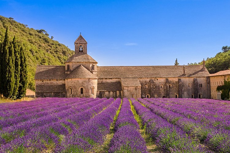 L'abbaye de Sénanque