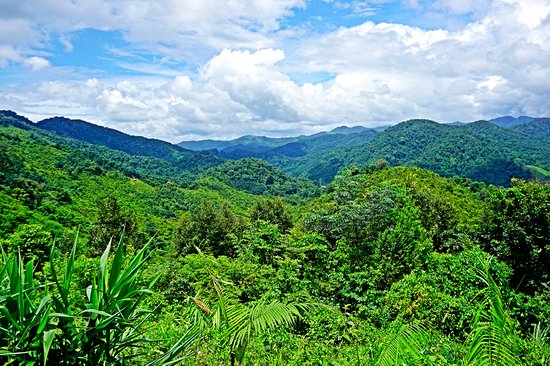 Nam Et-Phou Louey National Park