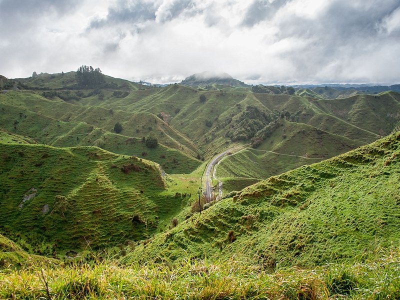 Forgotten World Highway