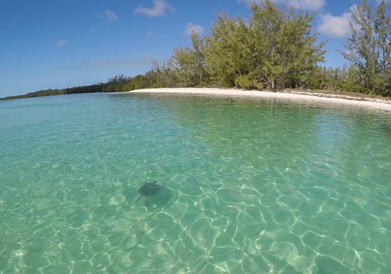 plage Shark Creek Beach à Great Harbour Cay