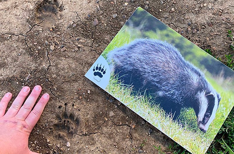 Participer à des animations nature en groupe