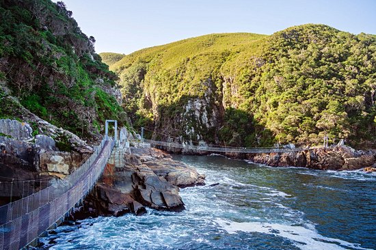 Tsitsikamma National Park