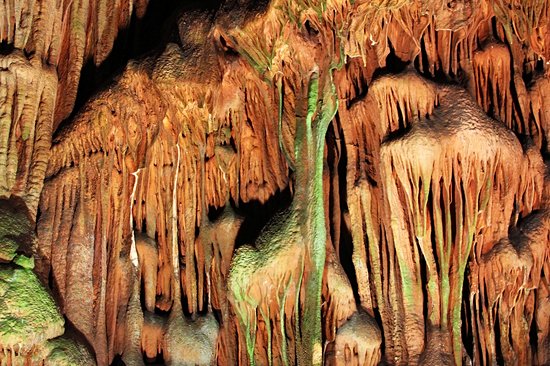 Grotte Saeva dupka