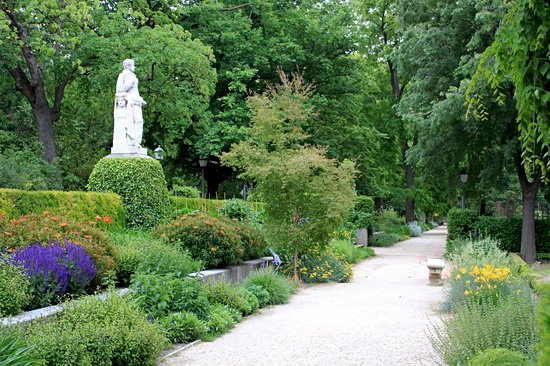 Jardin botanique royal de Madrid