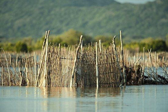Réserve naturelle de la baie de Kosi
