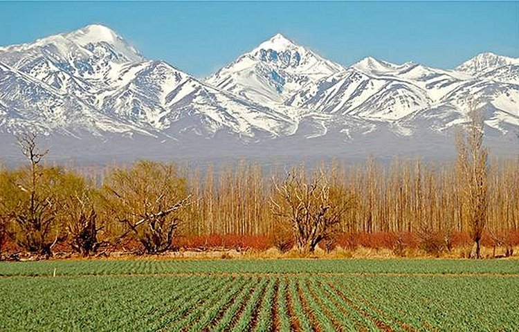 Mendoza, au pied des Andes