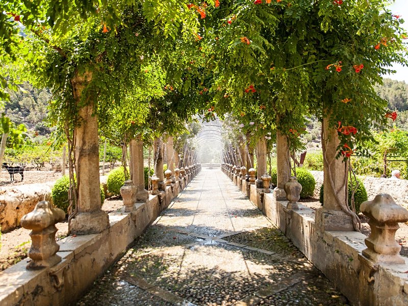 Les jardins d’Alfabia