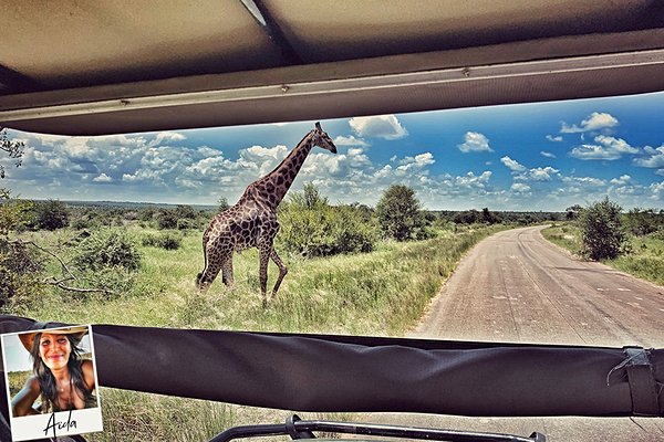 Profiter d'un safari privatif en 4x4 au parc Kruger
