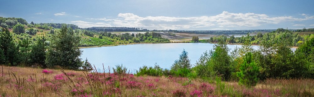 Parc national de la Haute Campine