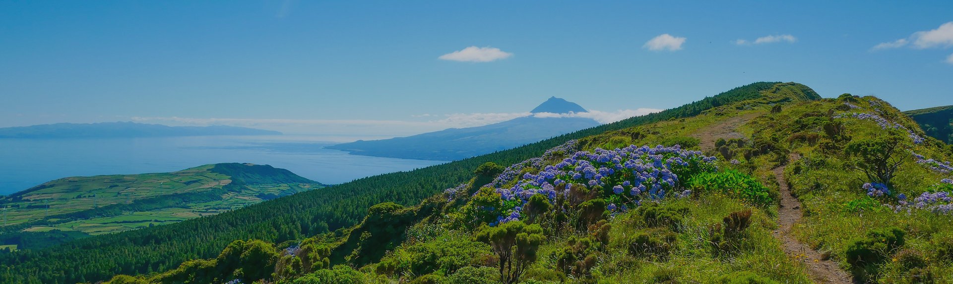 Açores