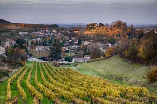 Faire de l’œnotourisme dans le vignoble de Cognac