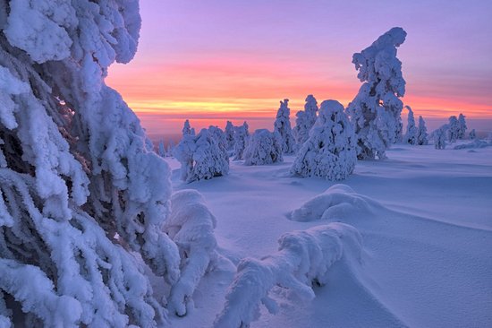 Parc national du Riisitunturi