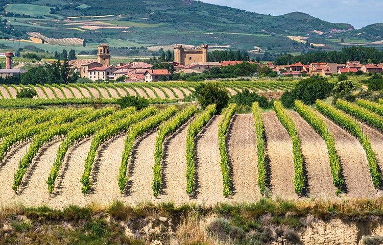 Les vignobles de Rioja