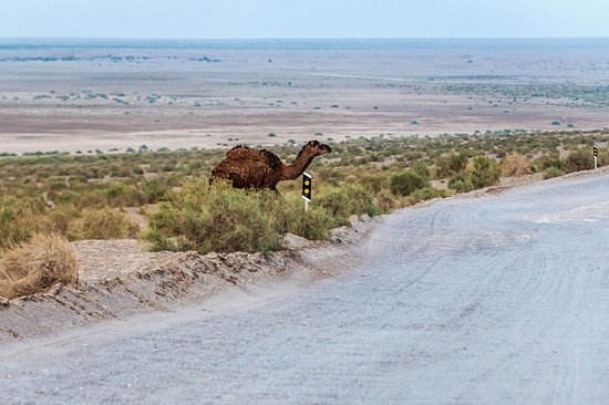 Désert de Maranjab