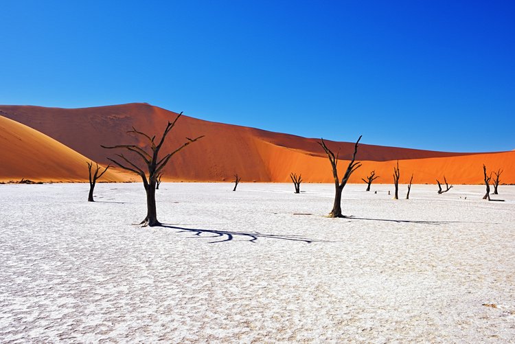 N°10 Namibie