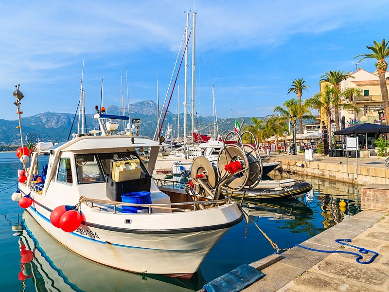 Calvi