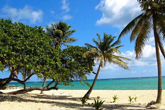 Les plages de Marie-Galante