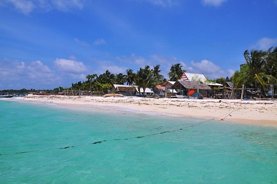 Bira