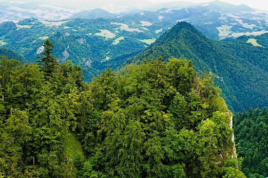 Parc national des Piénines