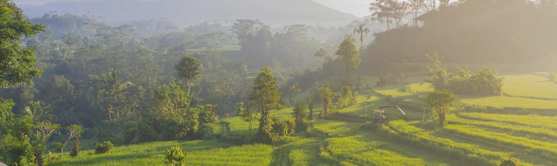 Bali