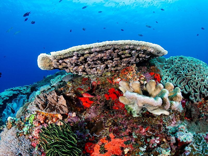 Nusa Penida