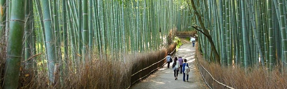 Arashiyama