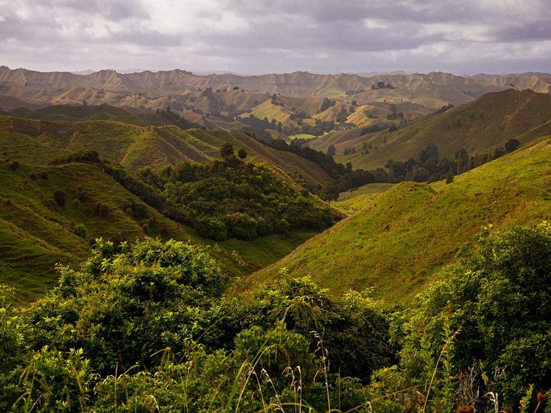 Forgotten World Highway