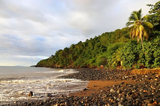 Plage Caraïbe, Pointe-Noire