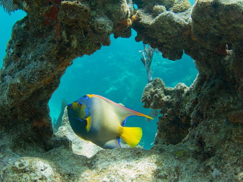 Punta Maroma