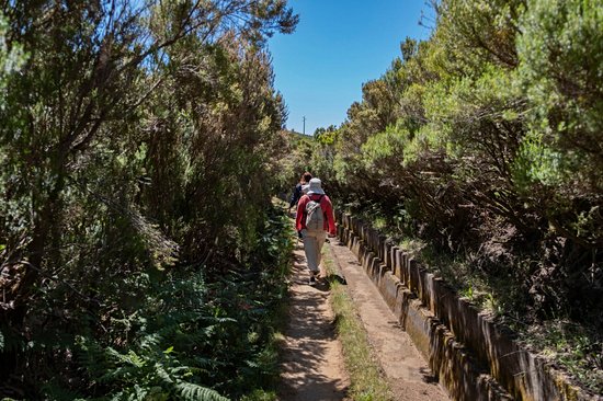 PR6.2 : Levada do Alecrim