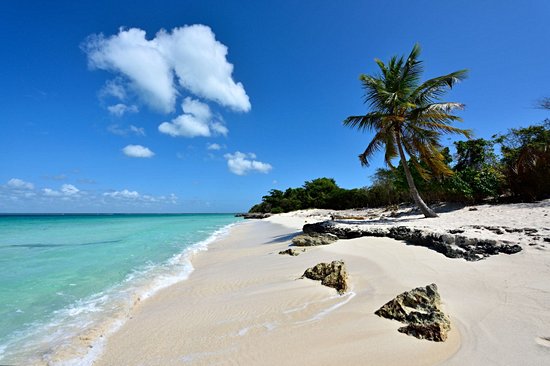 Playa Saona