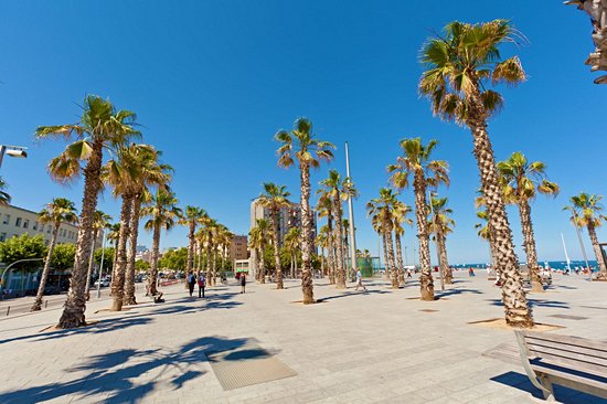 Plage de la Barceloneta